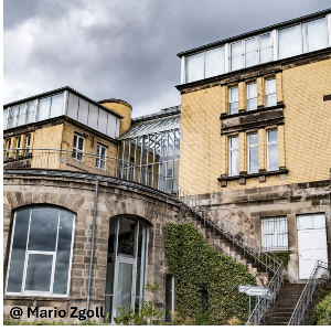 E06: Besuch im Museum für Sepulkralkultur mit TODOMAT